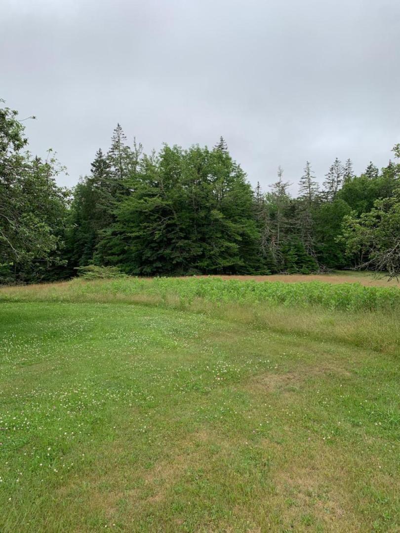 Meta Goldin Farmhouse - Meadow! Deer Isle Eksteriør bilde