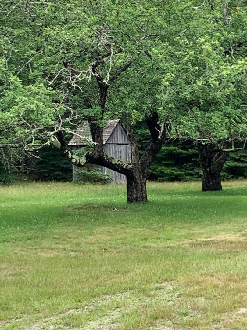 Meta Goldin Farmhouse - Meadow! Deer Isle Eksteriør bilde